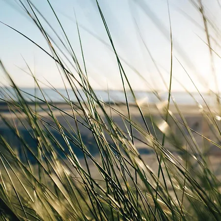 Nordstrandperle Ap H9 * Norderney